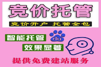 信息流广告投放策略：案例分析及优化建议